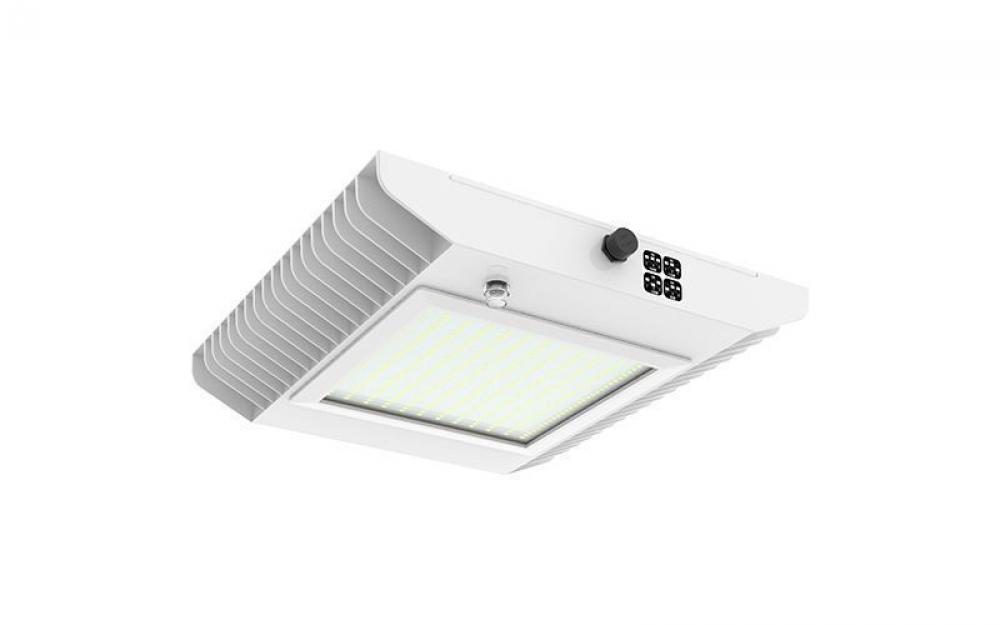 X-GEN SURFACE UNDER-CANOPY LIGHT ADJ. 80W-150W 50K 120-277V 0-10V