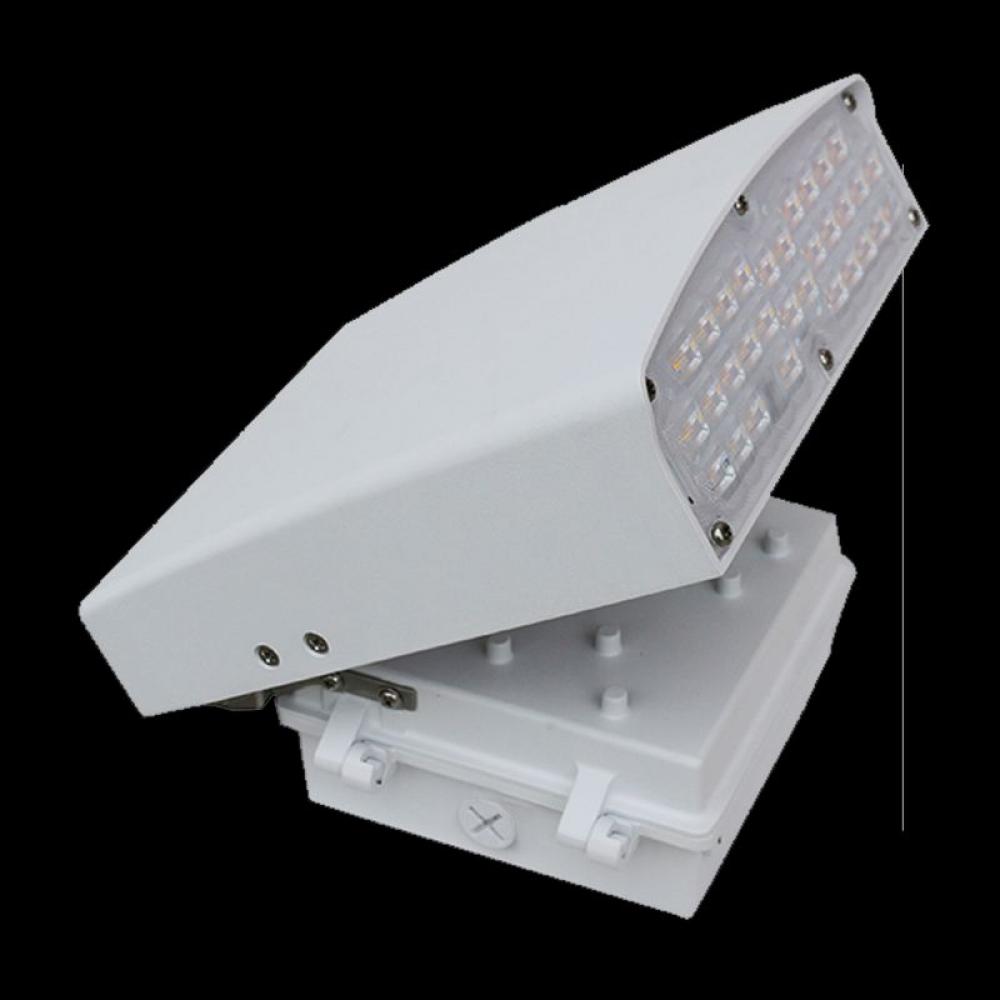 LED ADJUSTABLE CUTOFF WALL PACK, 120-277V