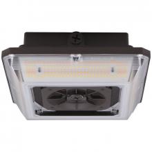 Westgate MFG C3 CAX-30-60W-MCTP-SR - CANOPY GARAGE LIGHT, ANGLED BEAM, SELECTABLE 30/45/60W 30/40/50K 0-10V