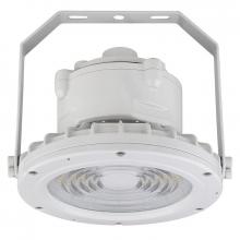 Westgate MFG C3 EXPR-60W-50K - C1D2 HAZ. LOC. ROUND FLOOD HIGHBAY 120-277V 60W 50K GRAY