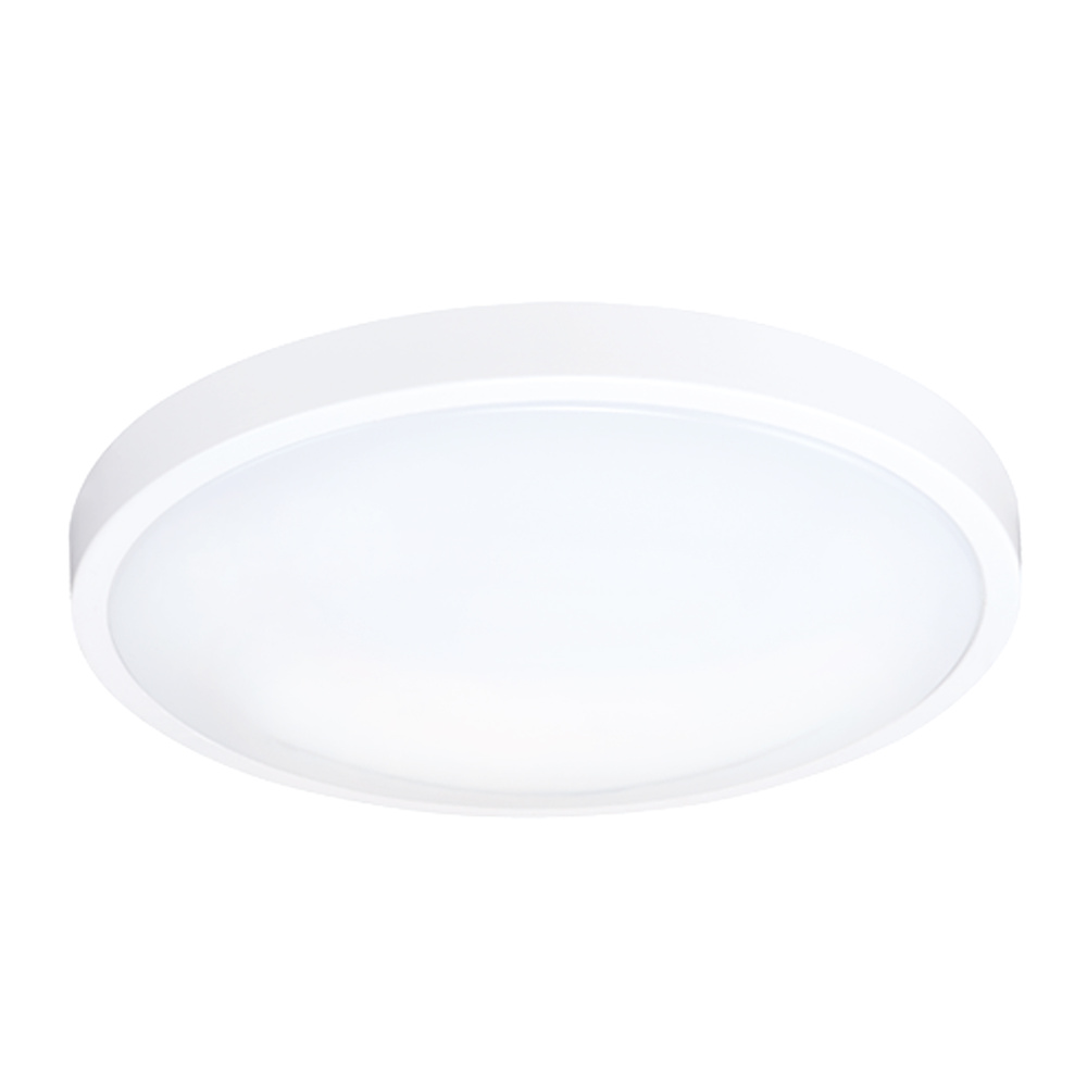 Cassidy 12? LED Round Ceiling Mount
