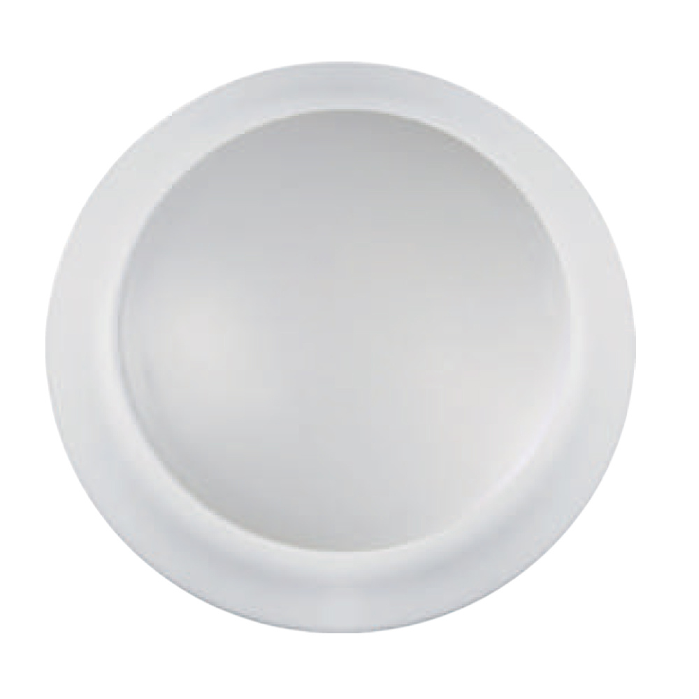 Hutson 9" LED Disc Ceiling Light, Wet Listed