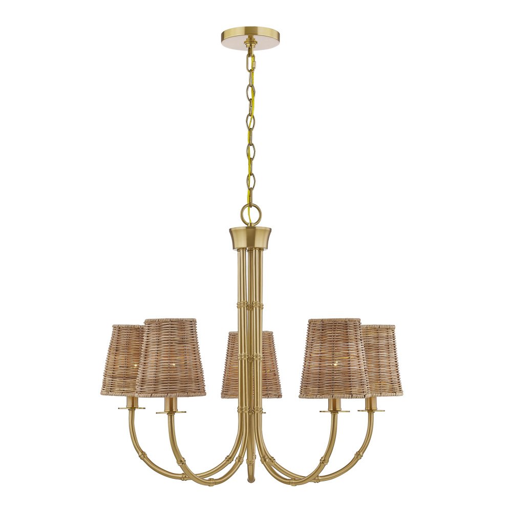 Ashbury 5-Light Chandelier in Warm Brass