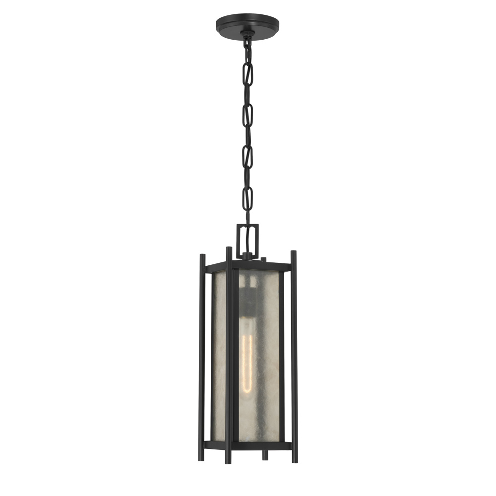 Jacobs 1-Light Outdoor Hanging Lantern in Matte Black