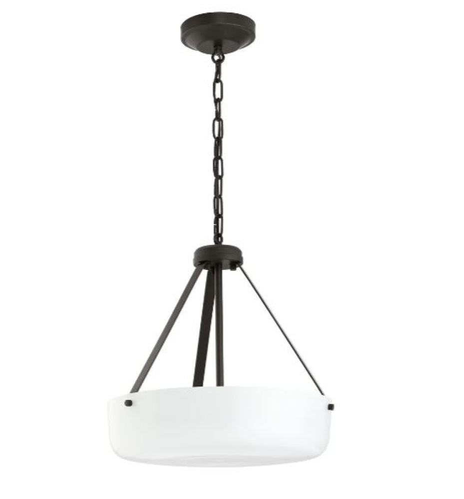 P500507-020 2-L PENDANT CONV.