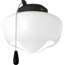 Progress P2601-80WB - AirPro Collection One-Light Ceiling Fan Light