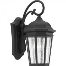 Progress P560014-031 - Verdae Collection One-Light Small Wall-Lantern