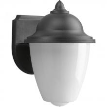 Progress P5844-31 - Non-Metallic Incandescent One-Light Outdoor Wall Lantern