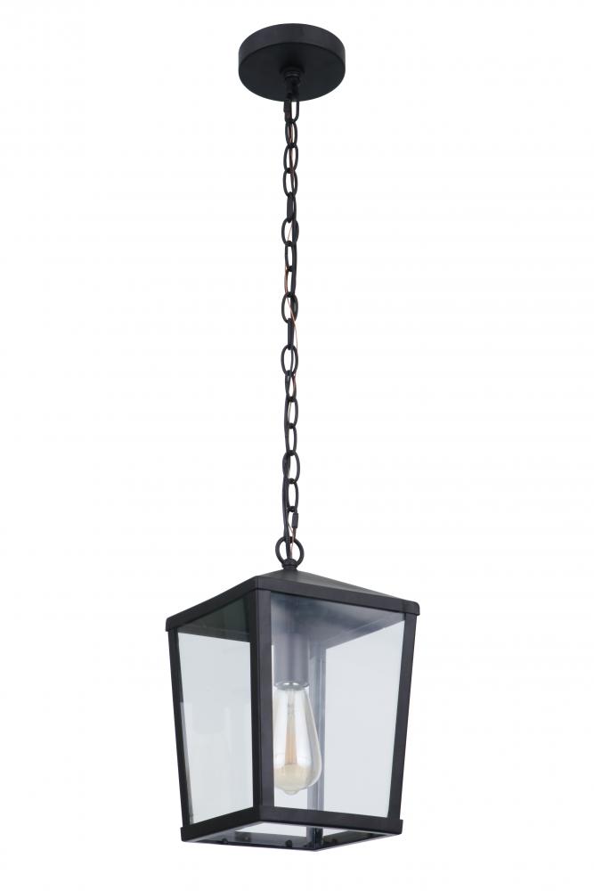 Olsen 1 Light Medium Outdoor Pendant in Midnight