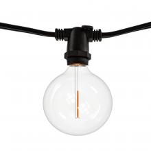 Bulbrite 812123 - String10L/14FT/16IN/E12/Black/LED/G16