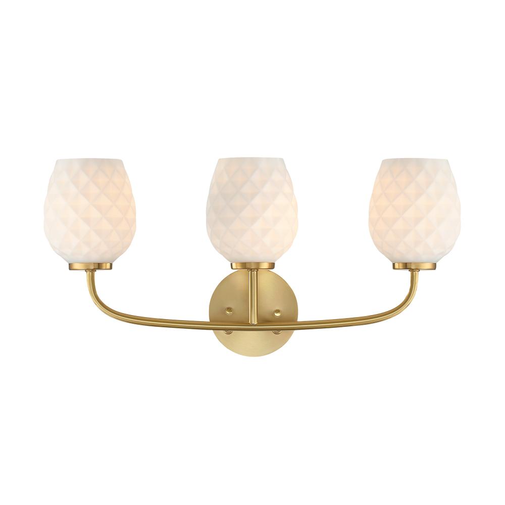 Dita 23" 3-Light Vanity