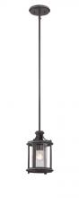 Designers Fountain 87530-APW - Palencia 6.5" 1-Light Pendant