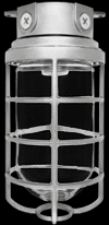Vaporproof, 200 Ceiling 4 Inches Box 3/4 inch With Glass globe cast guard