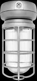 Vaporproof, 3200 lumens, CFL, ceiling mount, 42W, QT, 1/2 inch, Silver, with glass globe, Cast gua