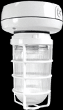 Vaporproof, 900 lumens, CFL, ceiling mount, 13W, QT, 3/4 inch, Silver, with glass globe, Cast guar