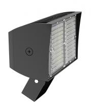 RAB Lighting PIPXL100TYW/D10/PFS - PIP XL FLOODLIGHT 100W WARM