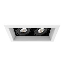 Eurofase TE162LED-40-4-02 - MULT,15W,TRM,2LT,40K,WHT/BLK