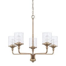 Capital 428851AD-451 - 5 Light Chandelier