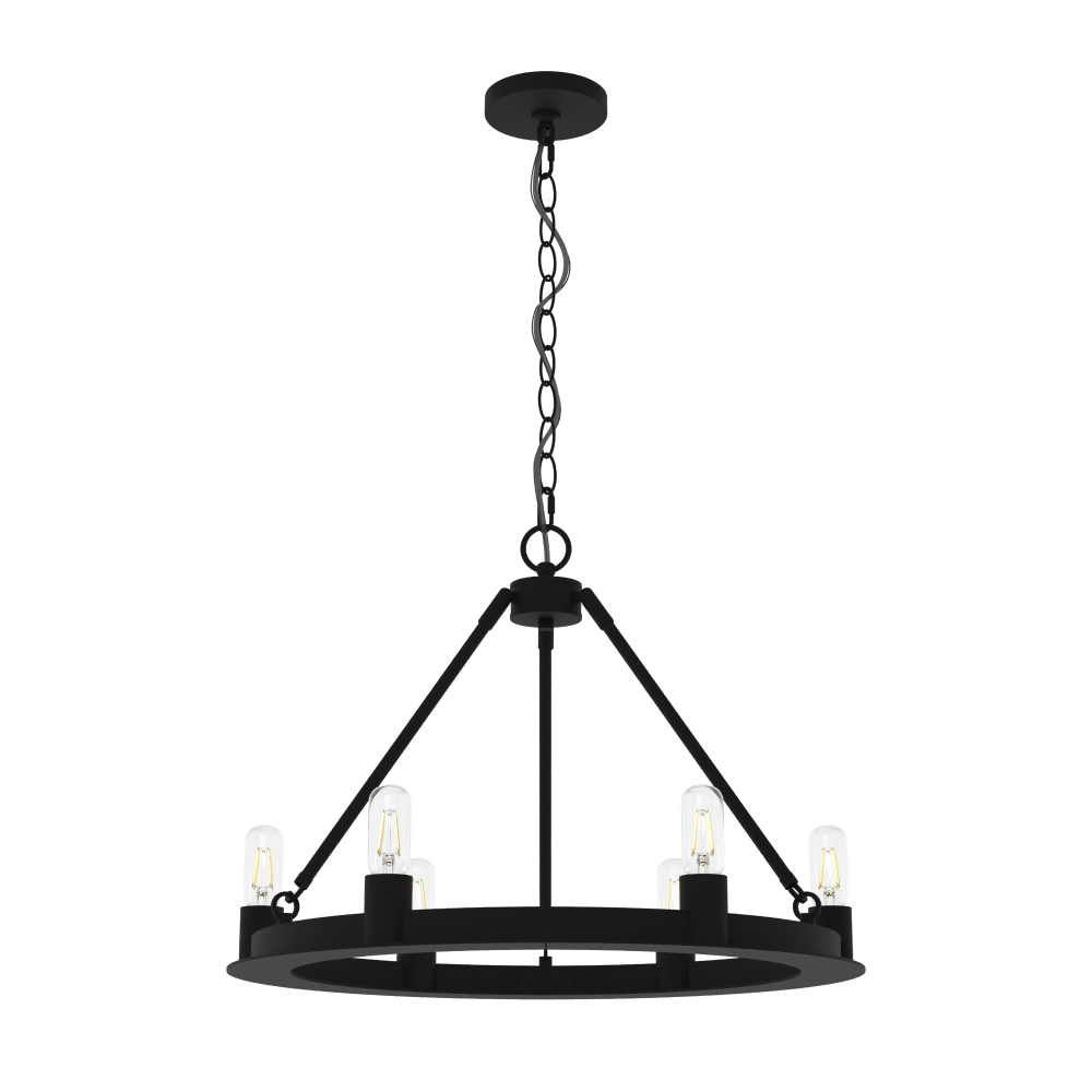 Hunter Saddlewood Natural Black Iron 6 Light Chandelier Ceiling Light Fixture