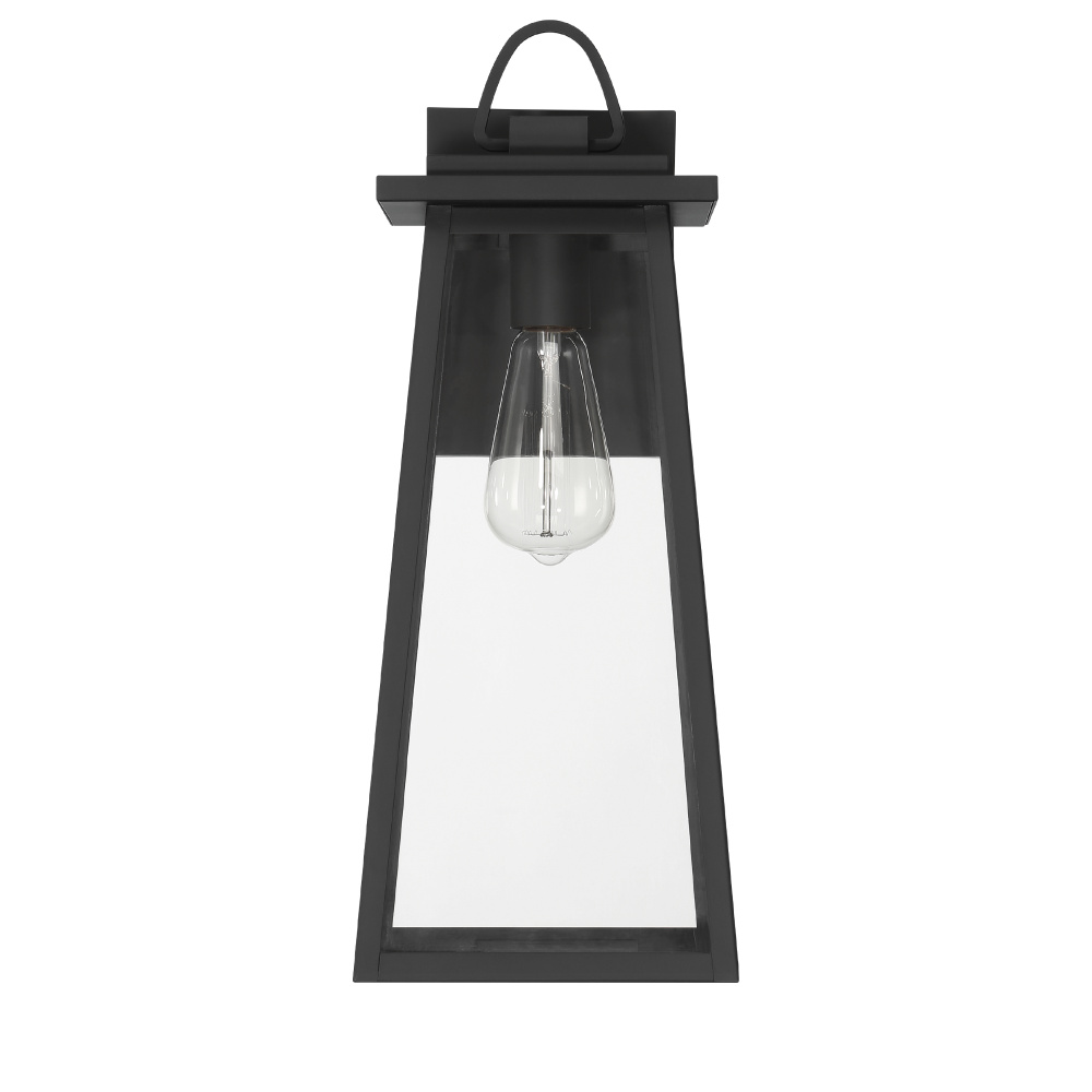 Hunter Ivory Dusk Matte Black with Clear Glass 1 Light