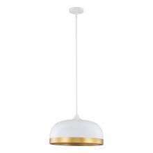 Millennium 99601-MW - Amarra Indoor Pendant