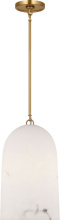 Visual Comfort & Co. Studio Collection CP1491BBS - SAVINA 10 1L PENDANT BBS