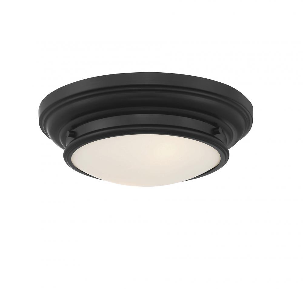 2-Light Ceiling Light in Matte Black