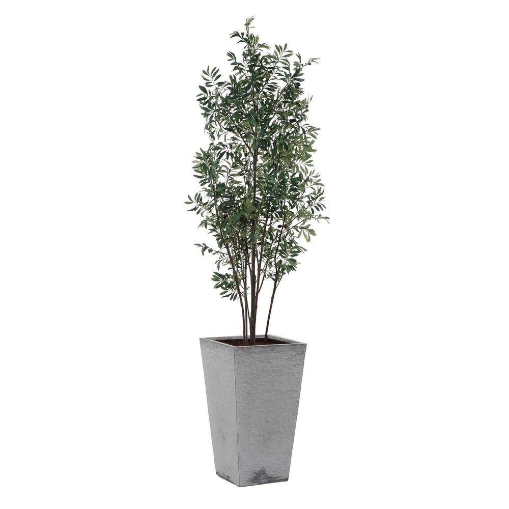 Uttermost Sonora Olive Tree In Planter