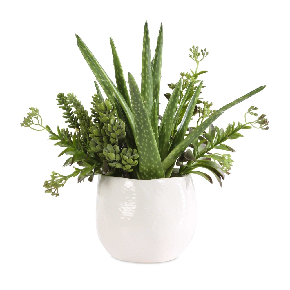 Uttermost Sundown Succulent Accent Planter