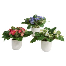 Uttermost 60247 - Uttermost Trilogy Primrose Accents In Vases Set/3