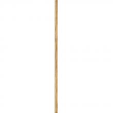 Hinkley 6037HB - 12" Accessory Stem