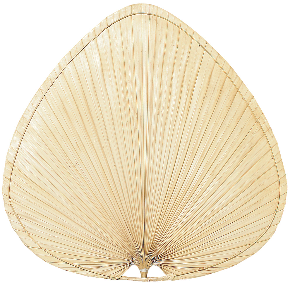 Palmetto Blade Set of 3 - 18 inch-Wide Oval Palm - BL