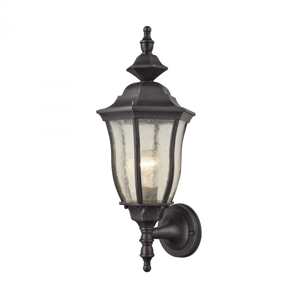 Bennet 1-Light Outdoor Wall Lamp in Graphite Black